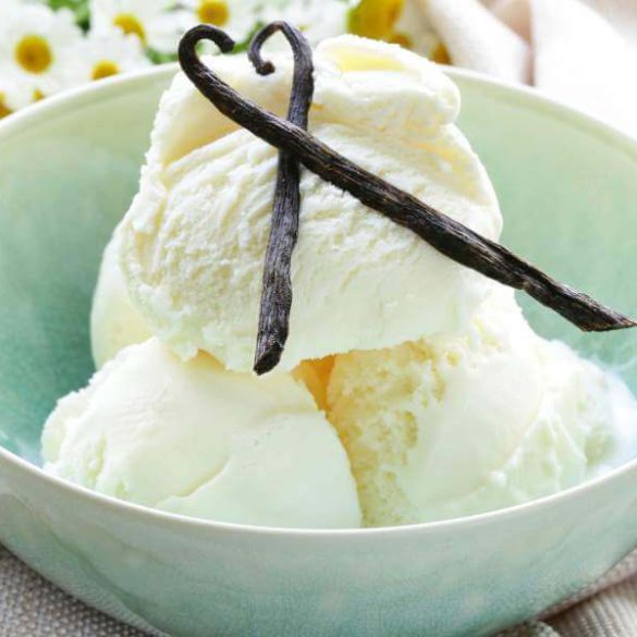 Ninja Creami Vanilla Ice Cream Recipe